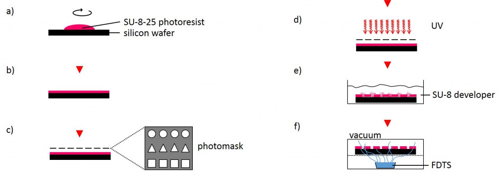 Fig. 3 Schematic procedure for fabricating a microstructured master. Photoresist is spin-coated on a silicon wafer (a and b) and is locally exposed with UV light through a photomask (c and d). Photoresist is developed (e), rinsed and silanized (f).