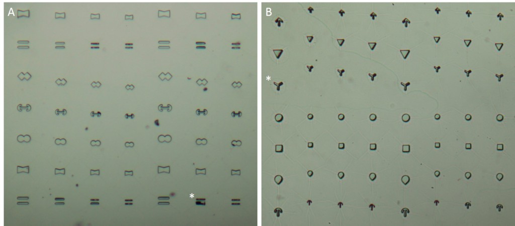 Fig. 7 Pictures of microstructured stencils.